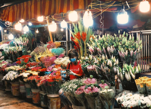 Khám phá Hà Nội mùa xuân – Mùa đẹp nhất trong năm